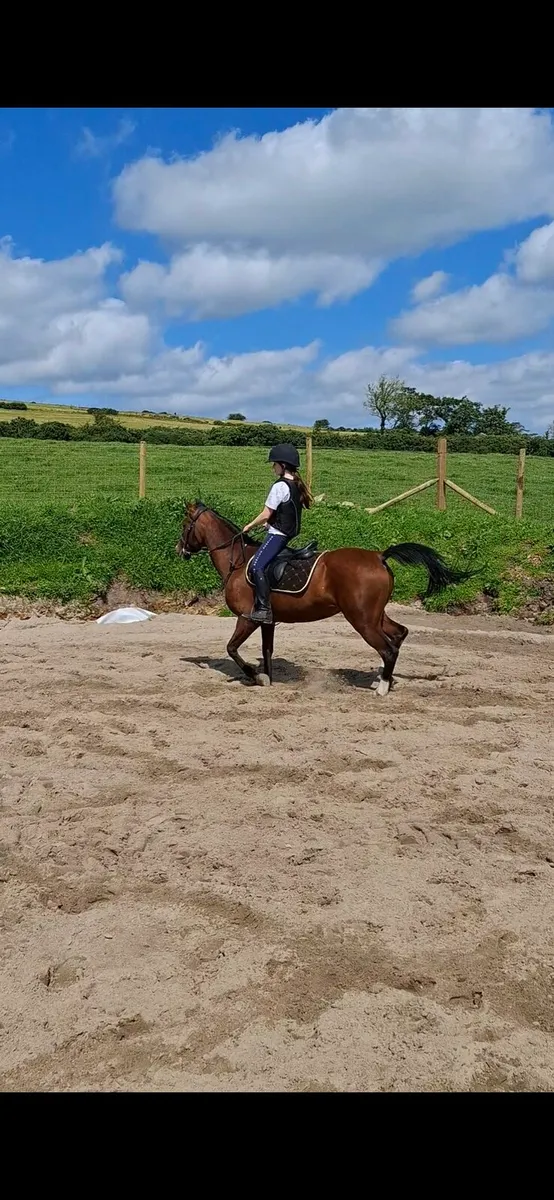 Jumping pony - Image 1
