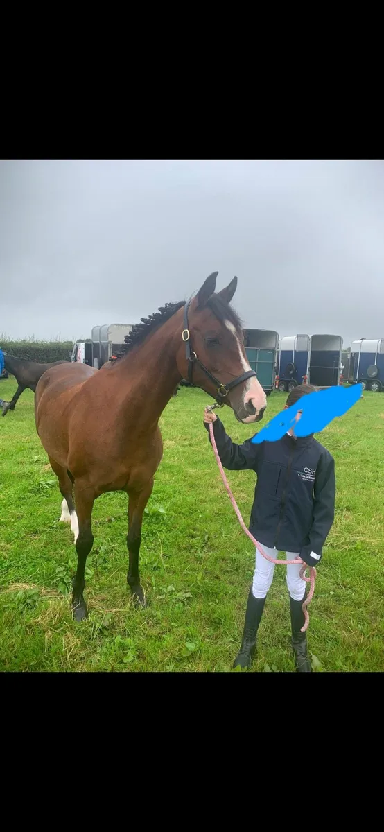 Jumping pony - Image 2