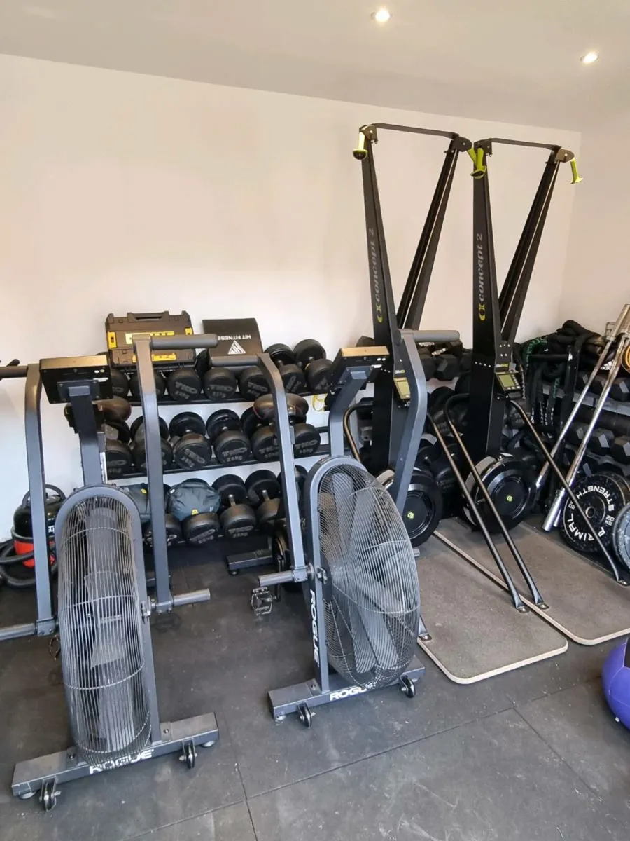 Concept 2 Ski Erg and Rogue Echo Bikes - Image 1