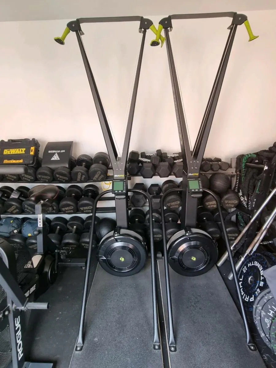 Concept 2 Ski Erg and Rogue Echo Bikes - Image 2
