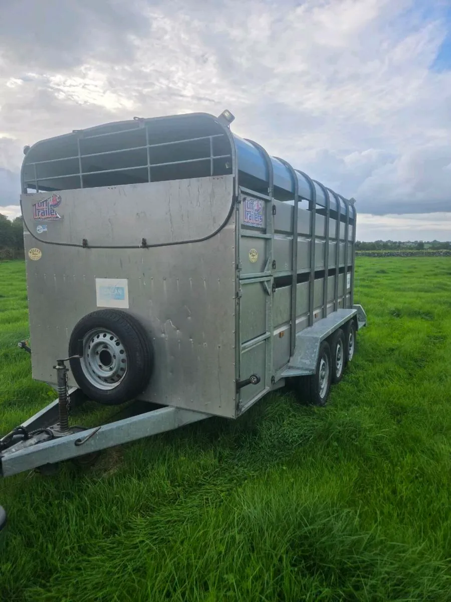 Trailer - Image 2