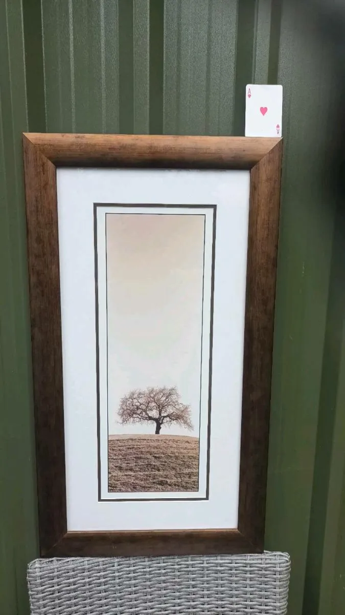 Framed print of a tree, D18 - Image 1
