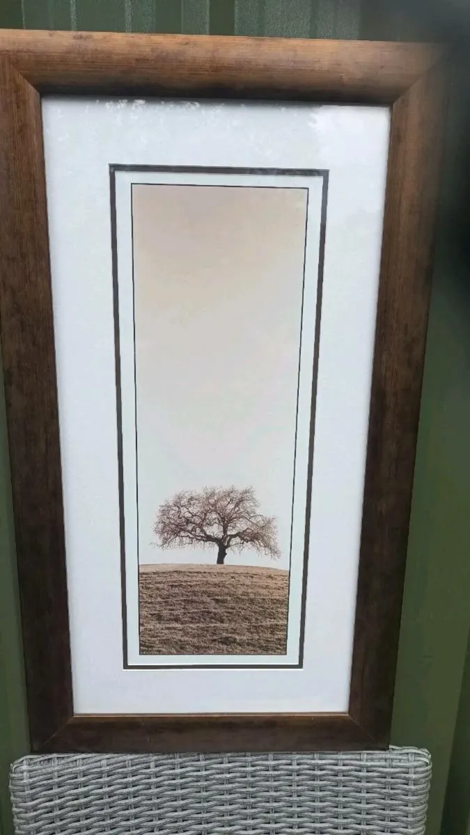 Framed print of a tree, D18 - Image 2