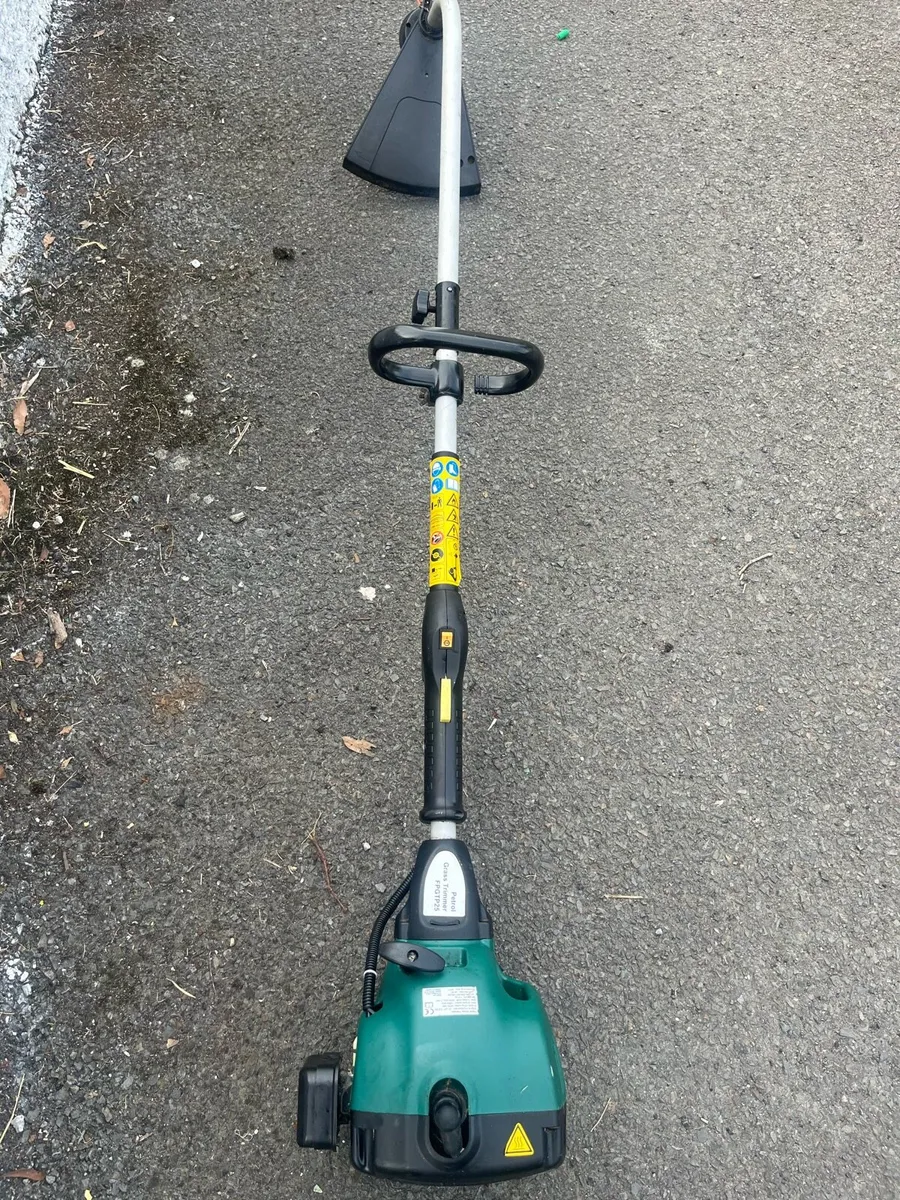 Strimmer - Image 1