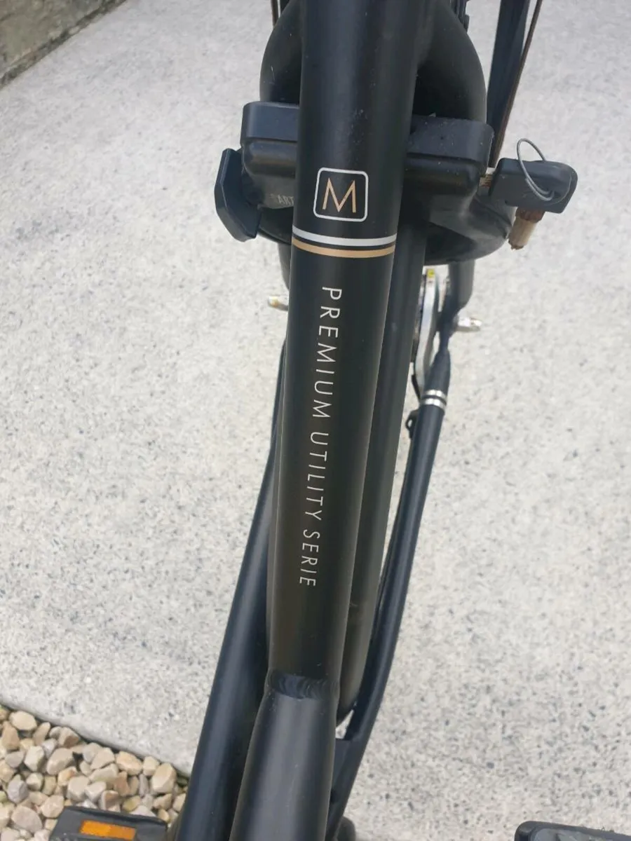 ADULTS BIKE - Image 4