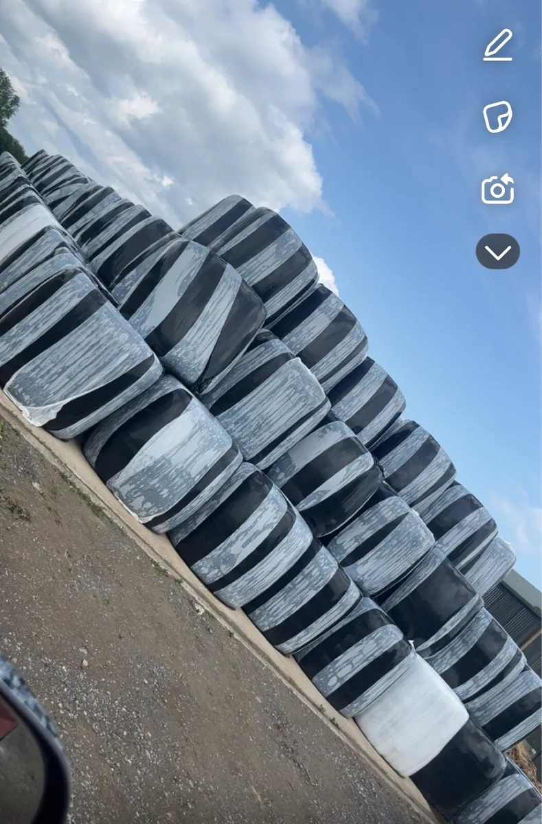 Top quality Silage