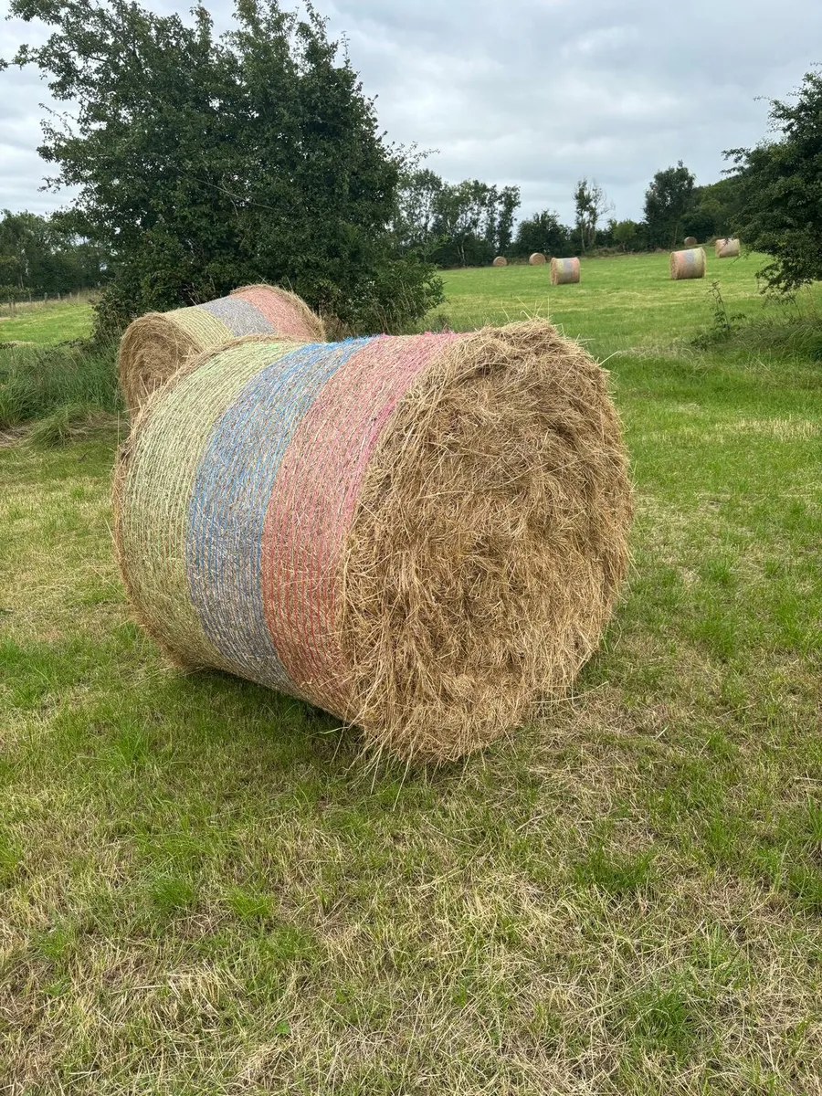 Hay for sale - Image 1