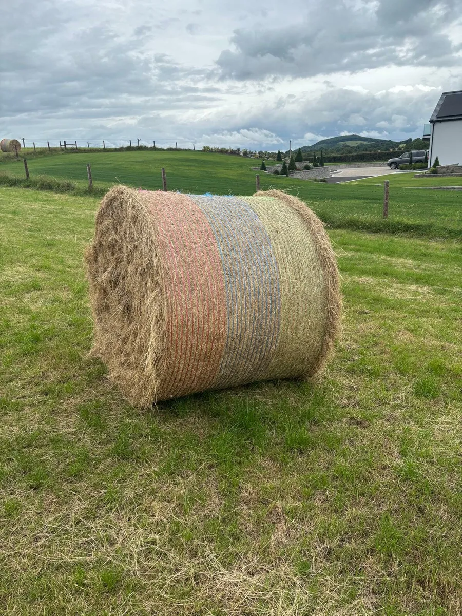 Hay for sale - Image 2
