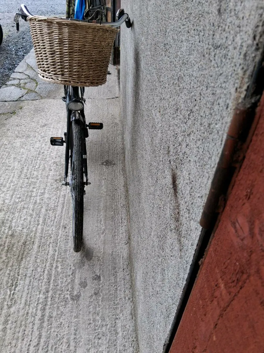 Push Bike - Image 4