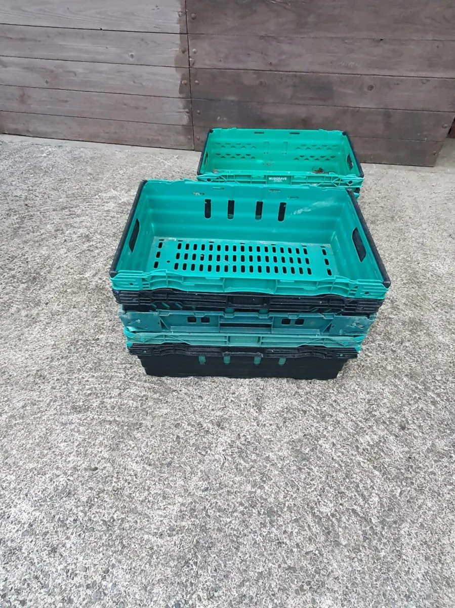 Plastic storage trays - Image 1