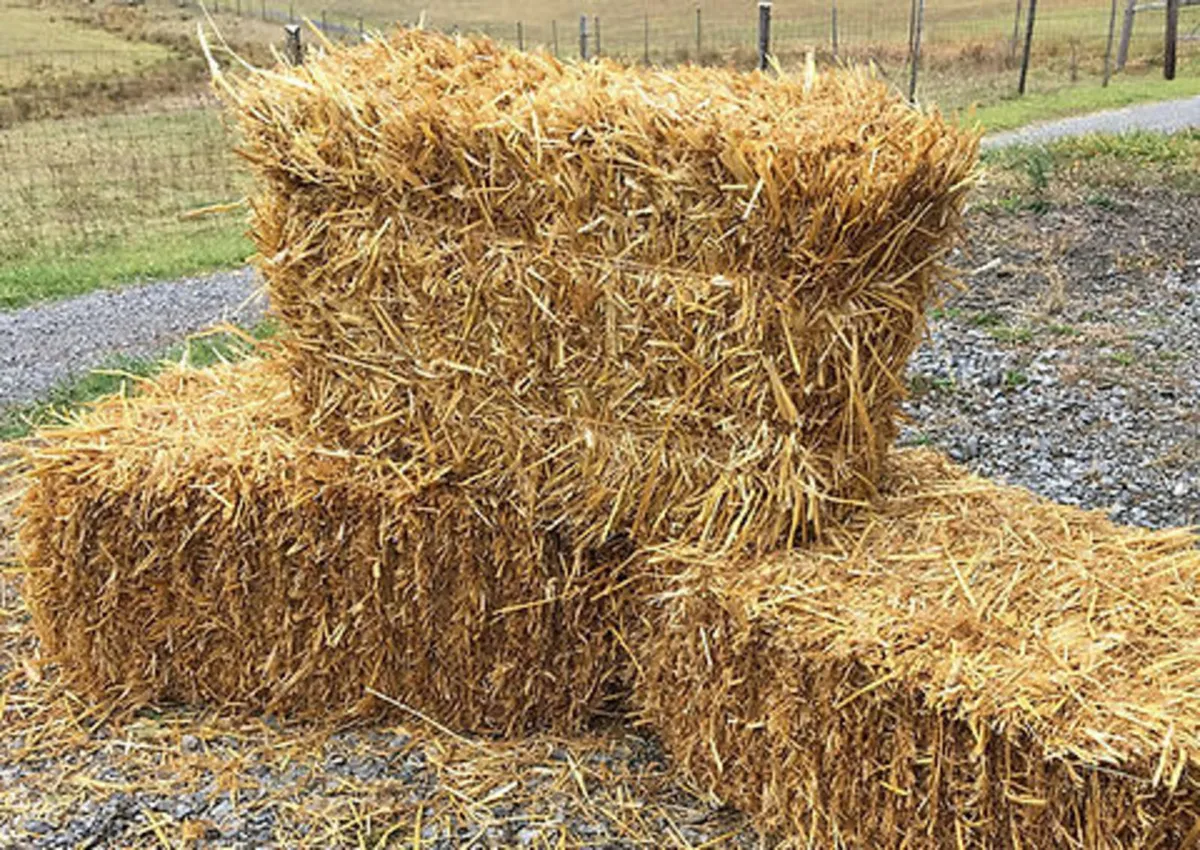 Small and Large Square Barley Straw - Image 2