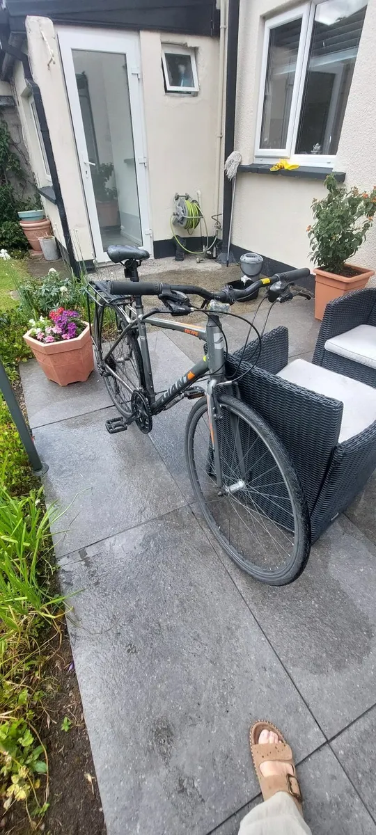 Adult Bike - Image 1