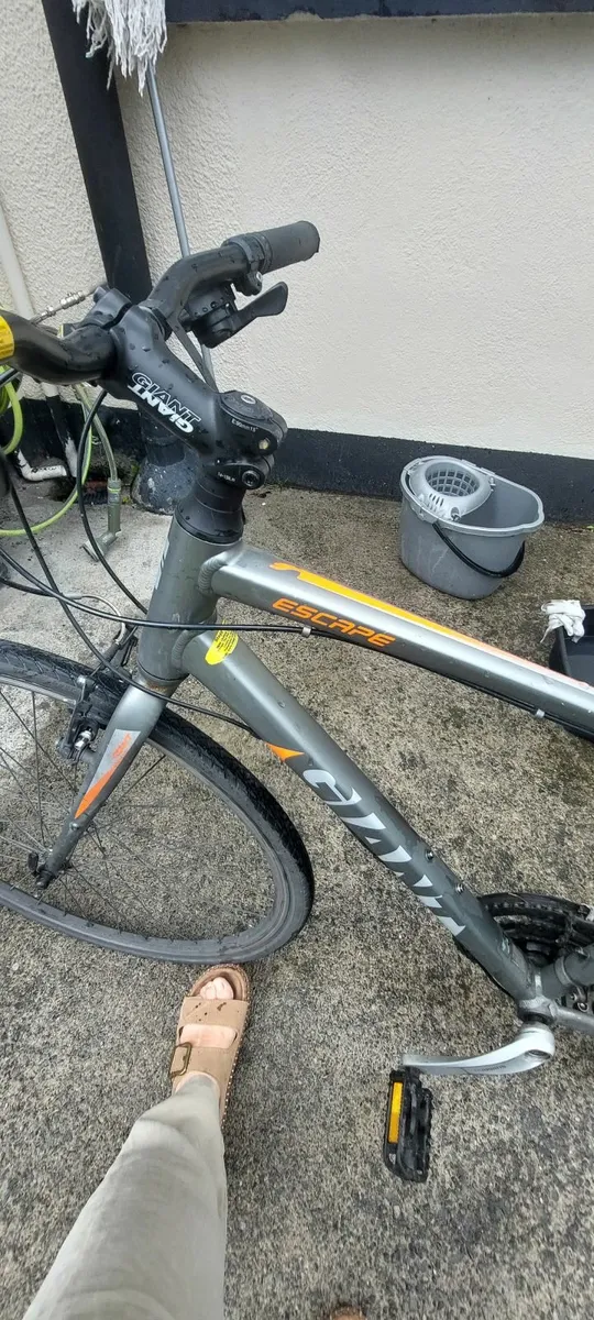 Adult Bike - Image 2
