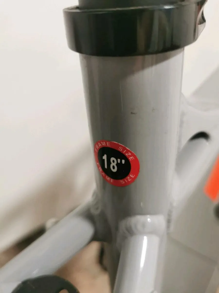 E bike - Image 4