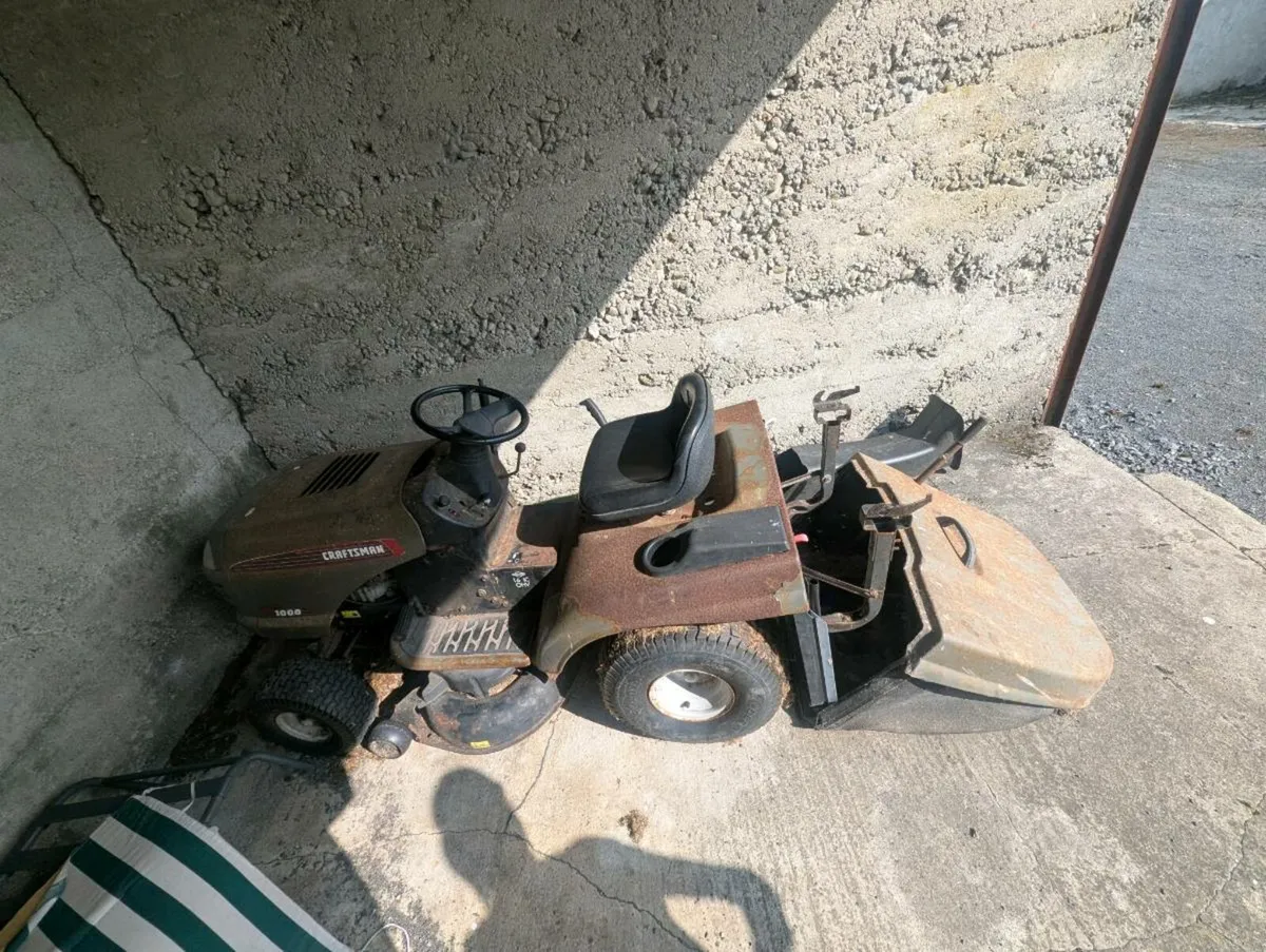 Ride on Lawnmower - Image 1