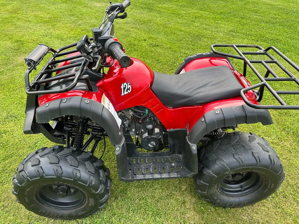 125cc farm quad - Image 2