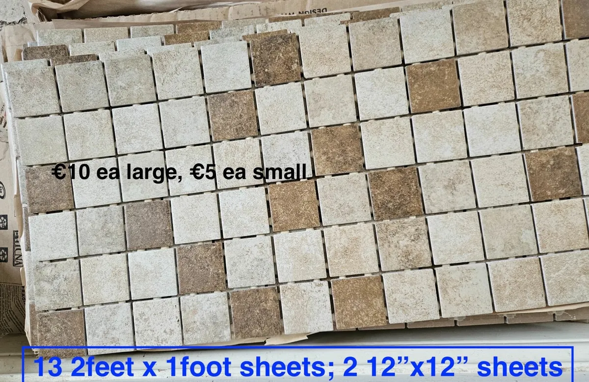 Decorative Border and Small Shower Floor Tiles - Image 1
