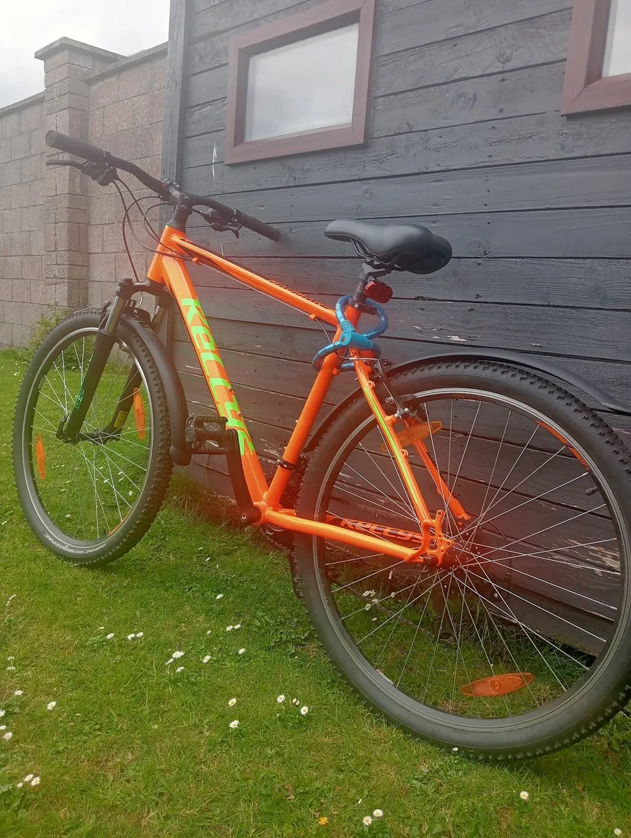 Mountain Bike - Image 1