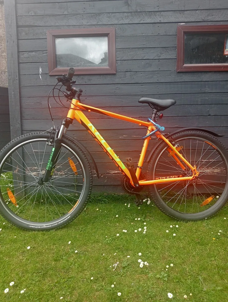 Mountain Bike - Image 3