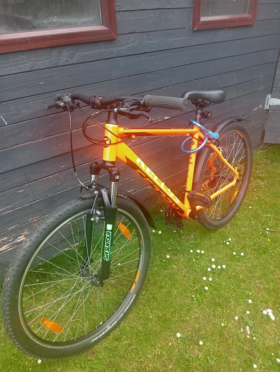 Mountain Bike - Image 4