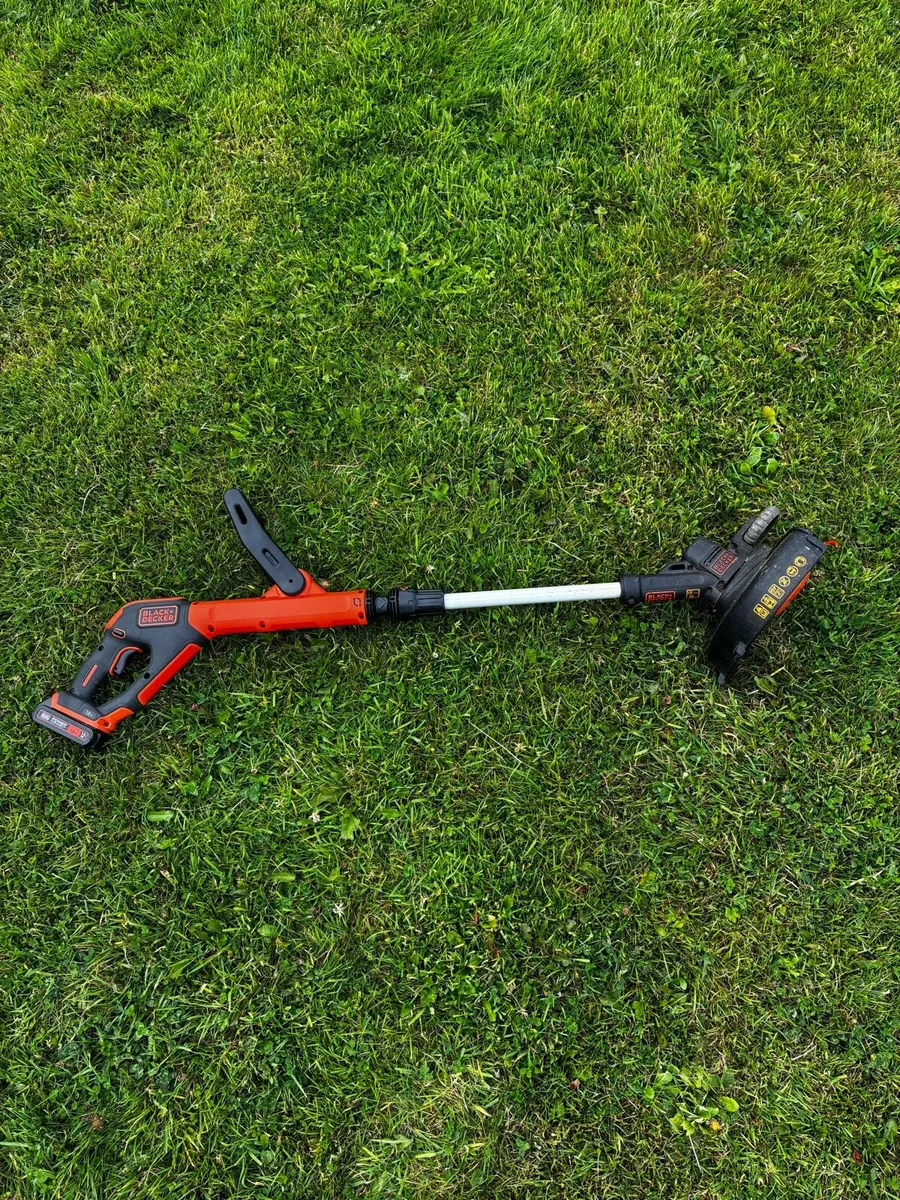 Battery strimmer - Image 1