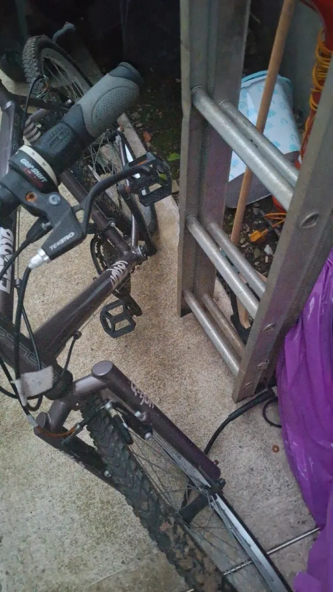 Bike - Image 2