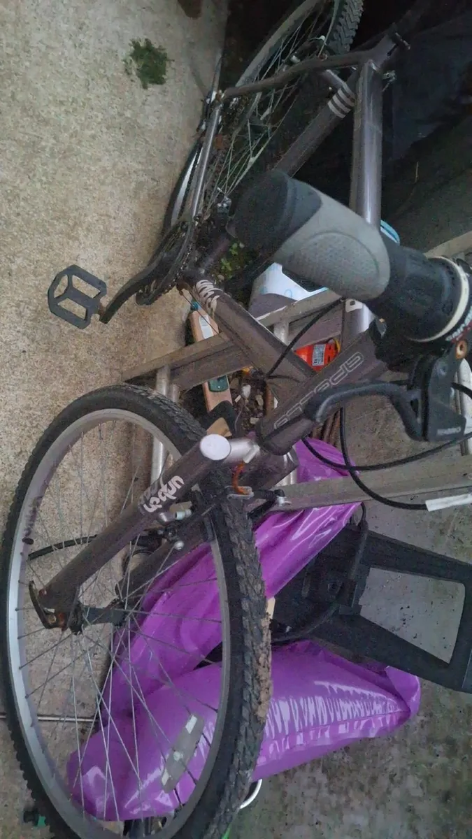 Bike - Image 3