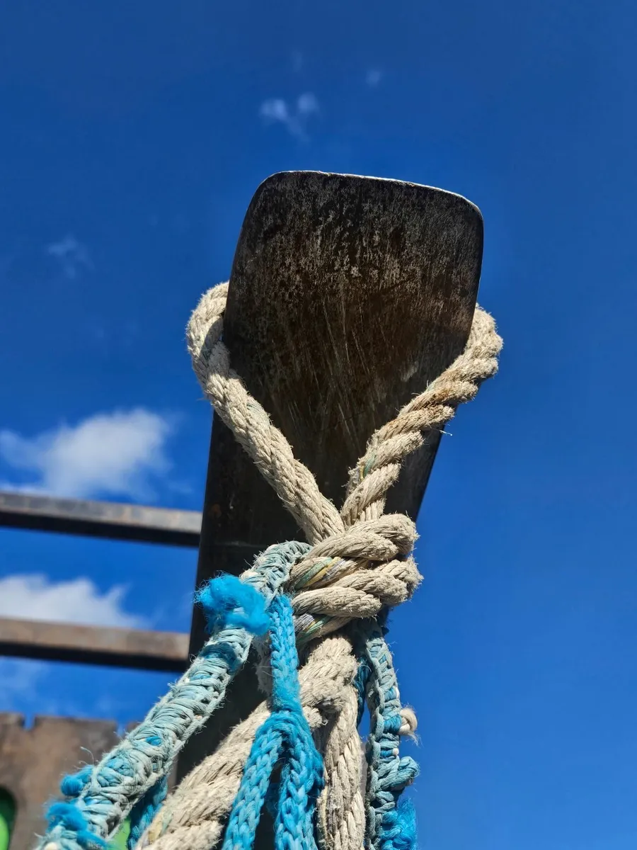 Netting skip - Image 2
