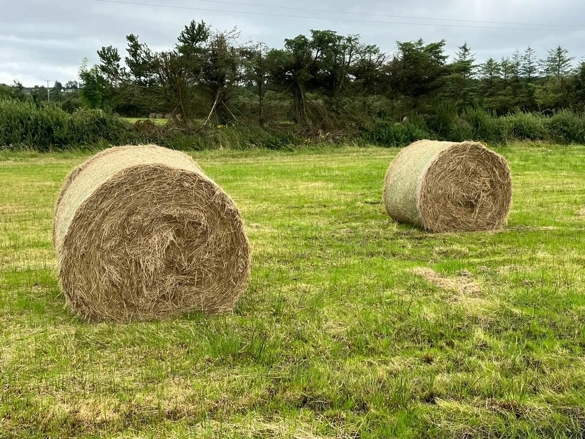 Hay for sale, excellent quality ,Abbeyfeale - Image 3