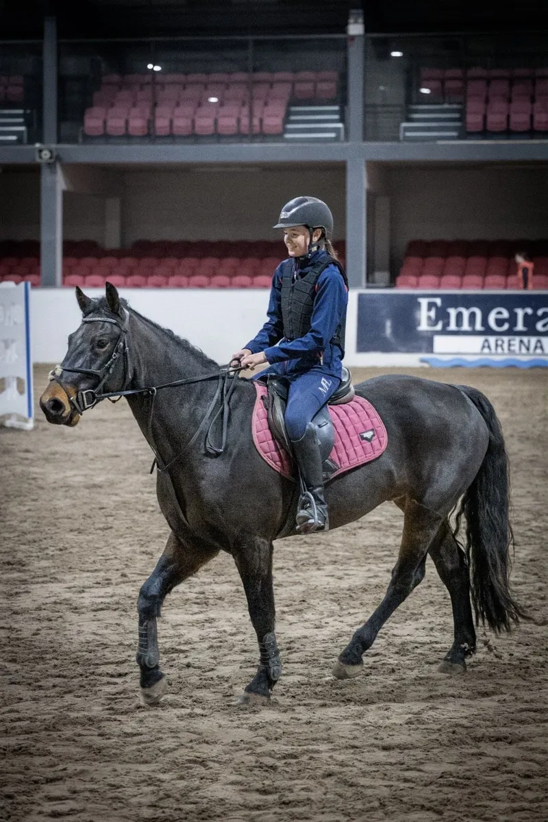 15.2 Connemara Gelding - Image 1