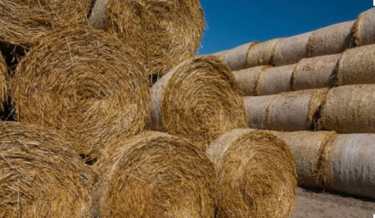 Straw - Image 3