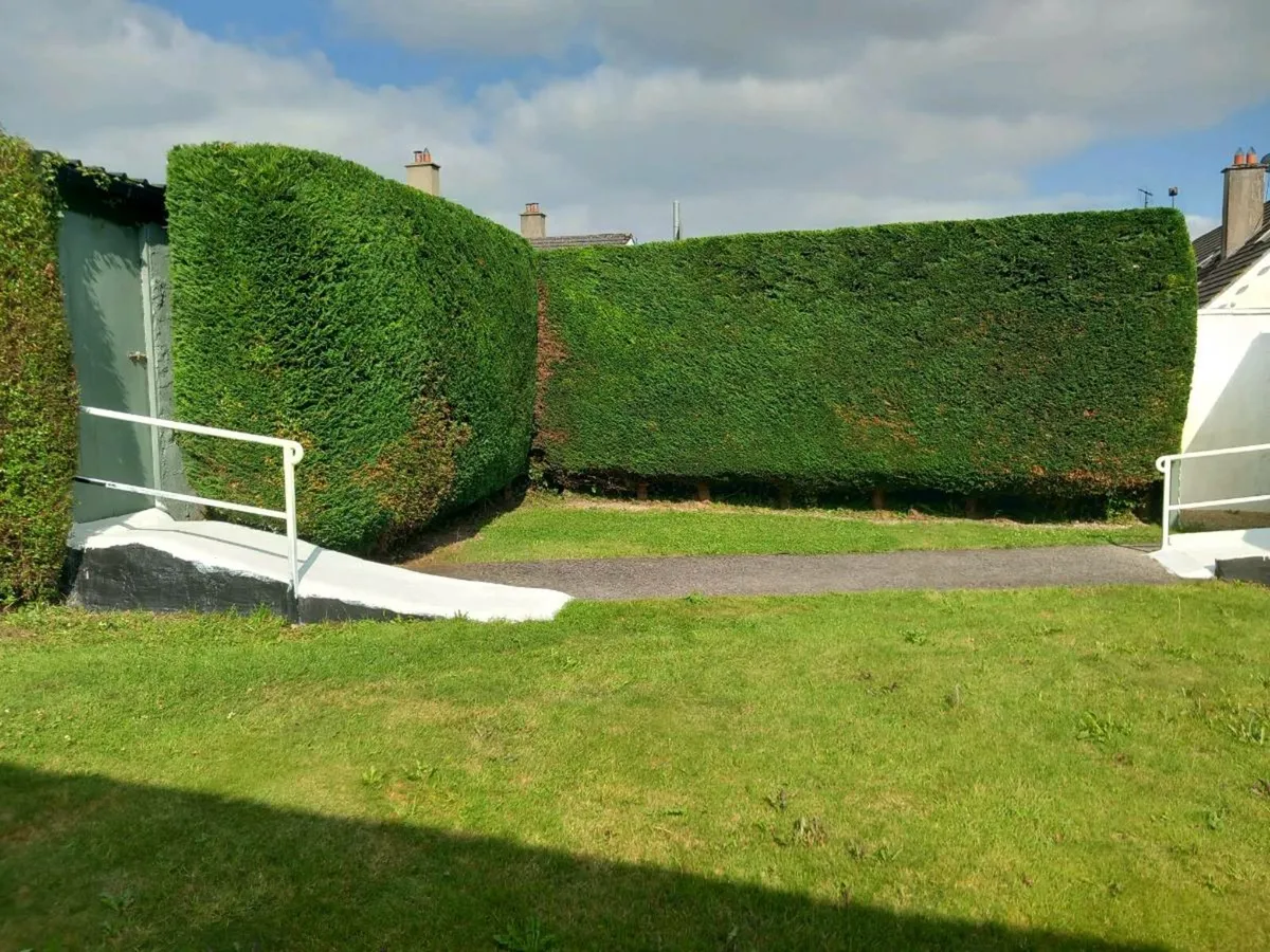 Garden maintenance - Image 1