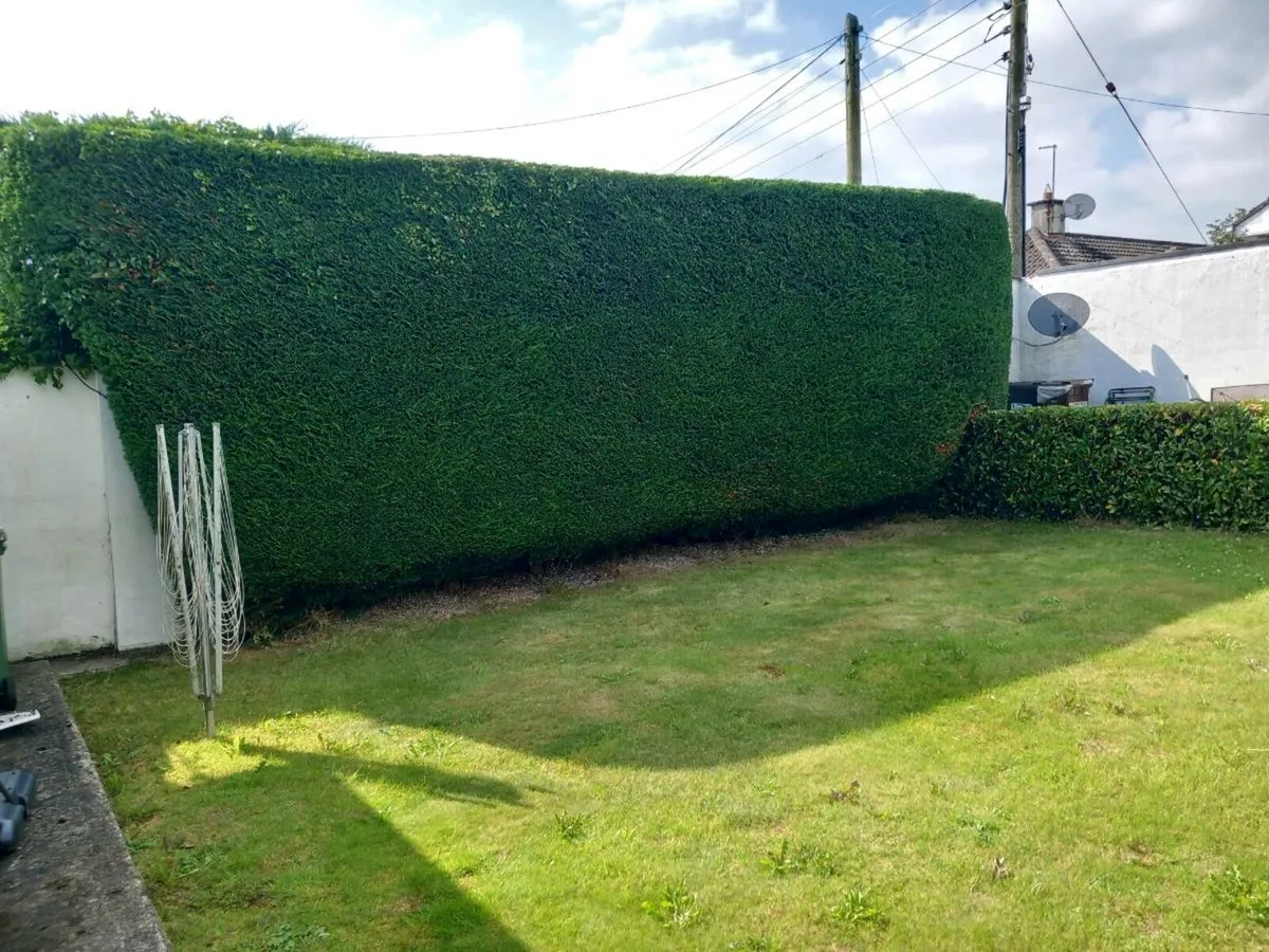 Garden maintenance - Image 2