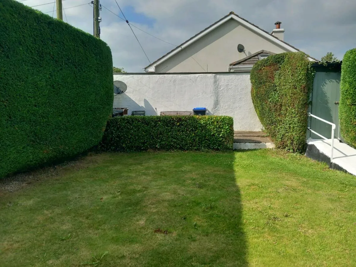 Garden maintenance - Image 3