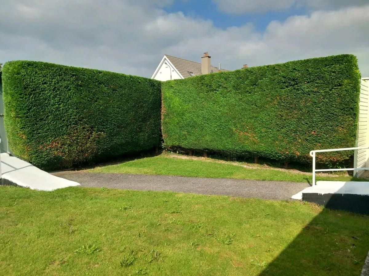 Garden maintenance - Image 4