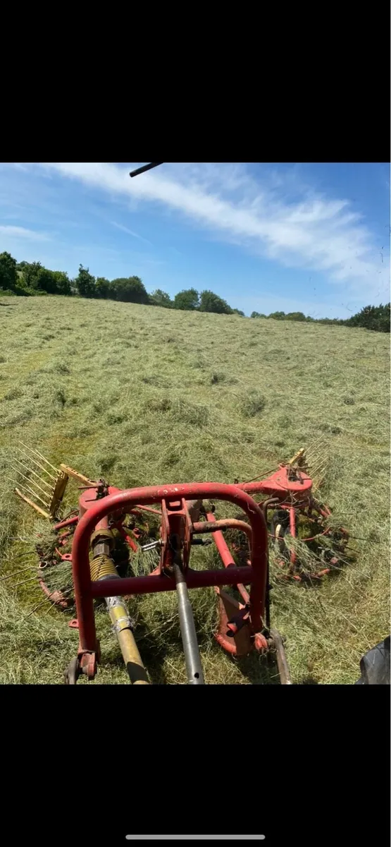 Square bales of Haylage and Hay, Excellent Quality - Image 3
