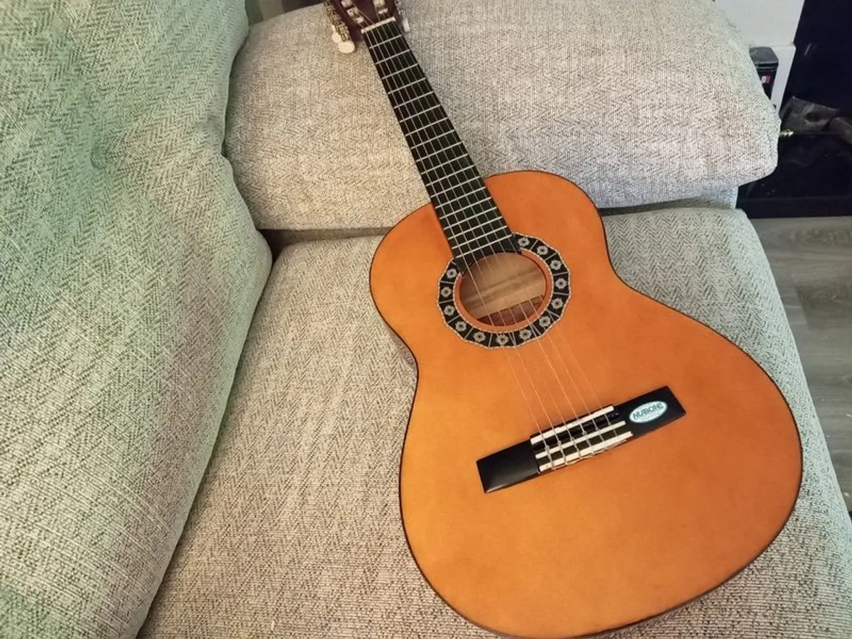 Guitar - Image 1