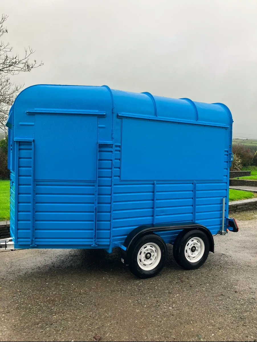 Pizza Rice Horse box trailer (food truck) - Image 1