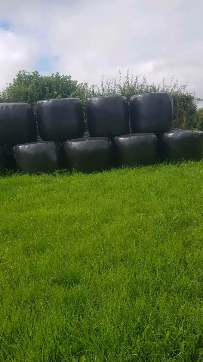 Silage bales - Image 2