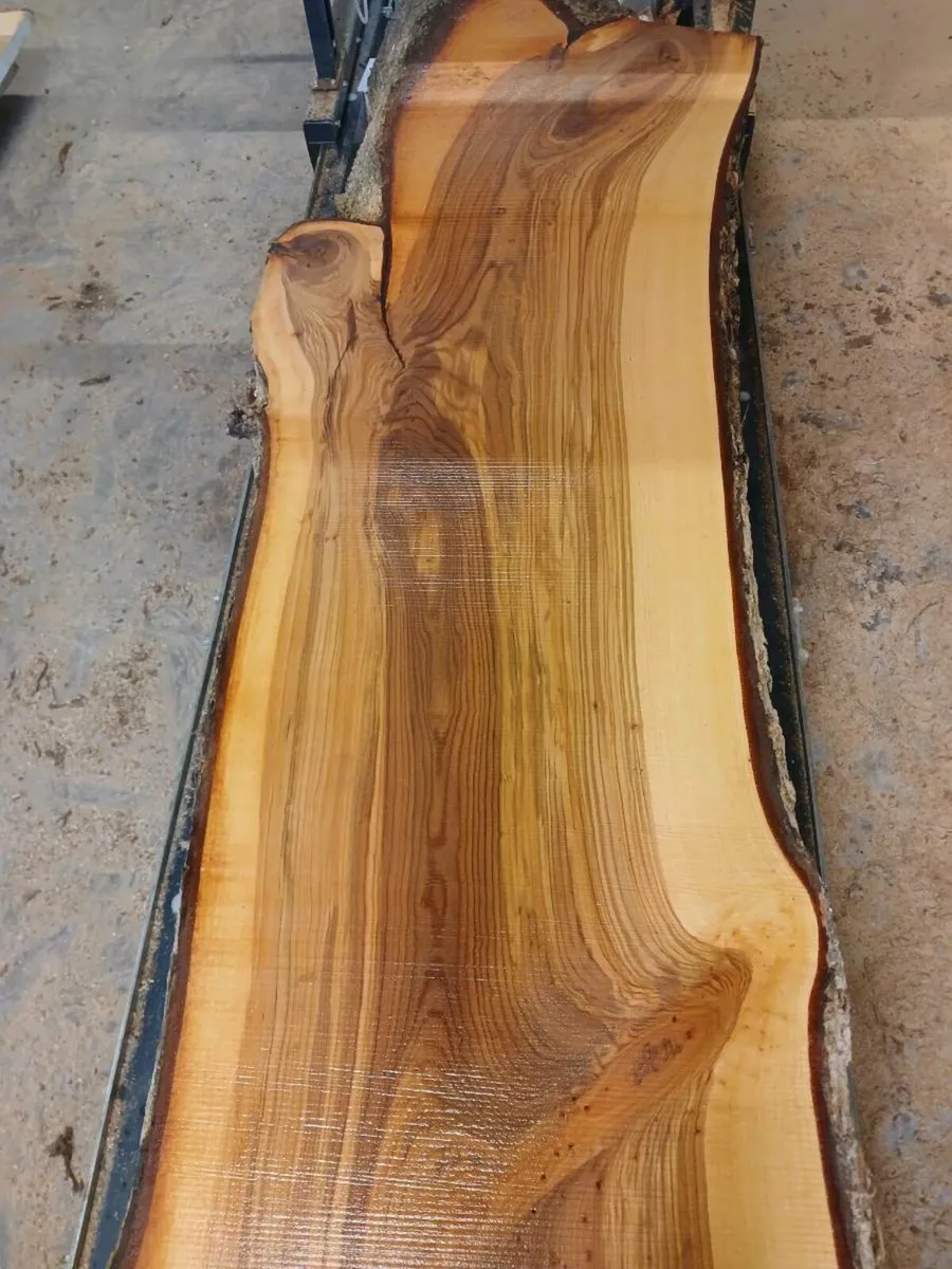 Live edge fresh cut oak slabs kitchen table - Image 4