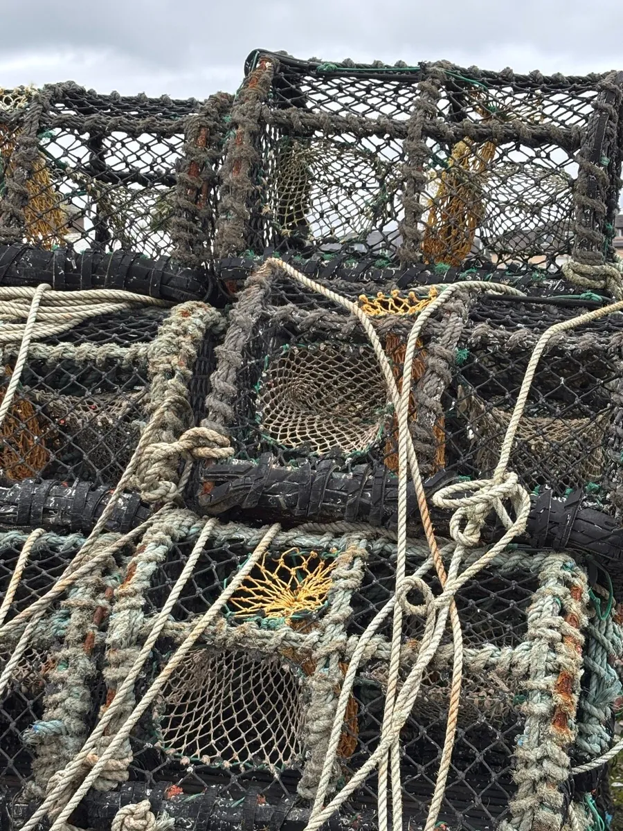Lobster pots - Image 1