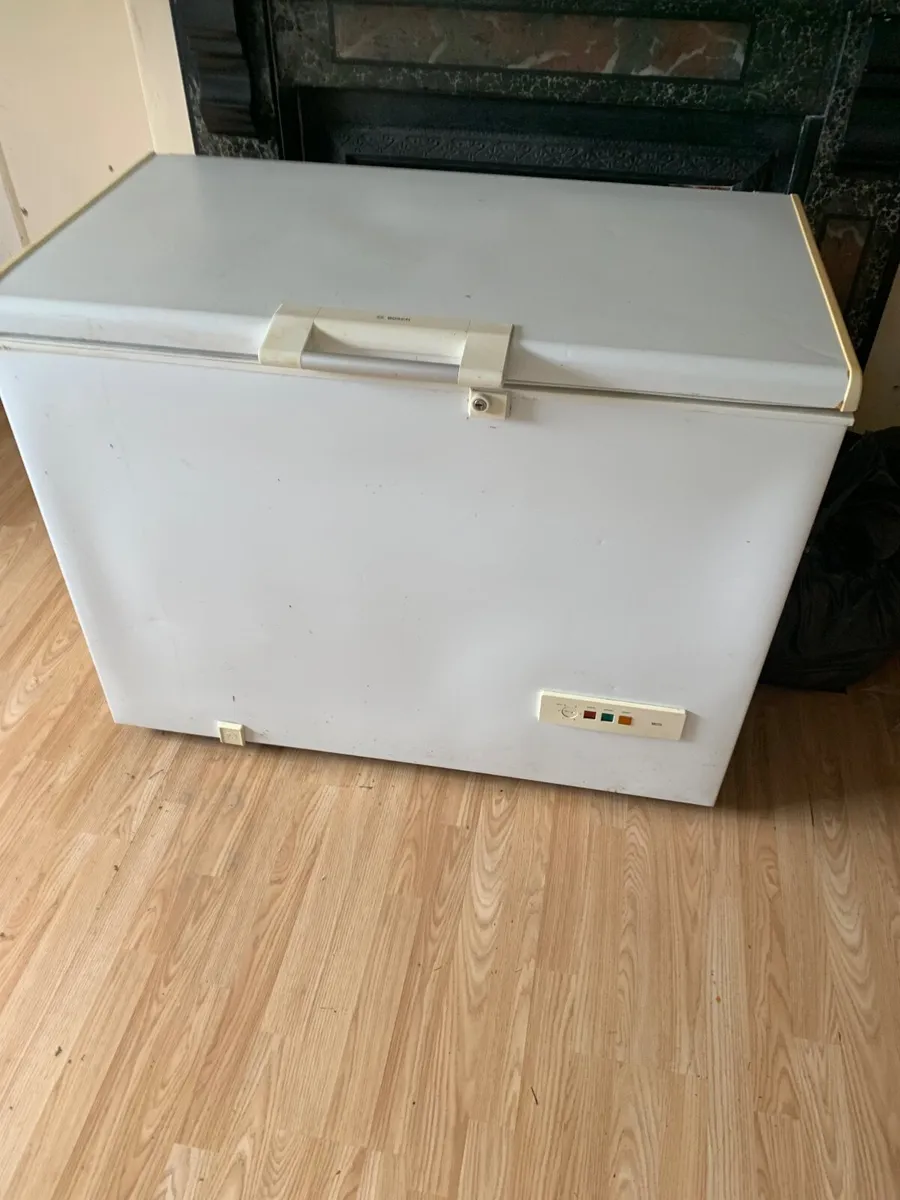Freezer - Image 4