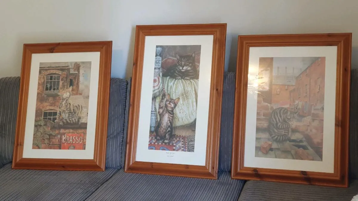 Large Framed Cat Prints - Image 1