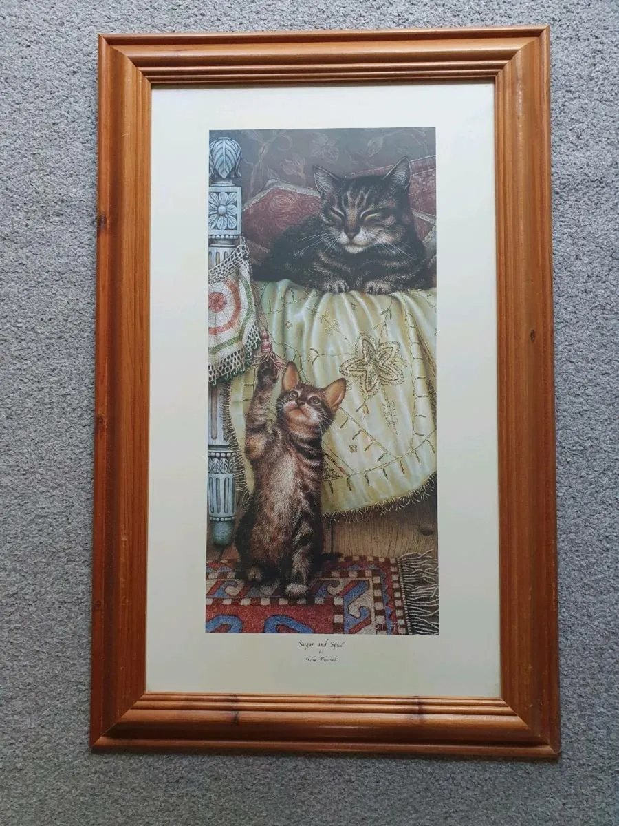 Large Framed Cat Prints - Image 2