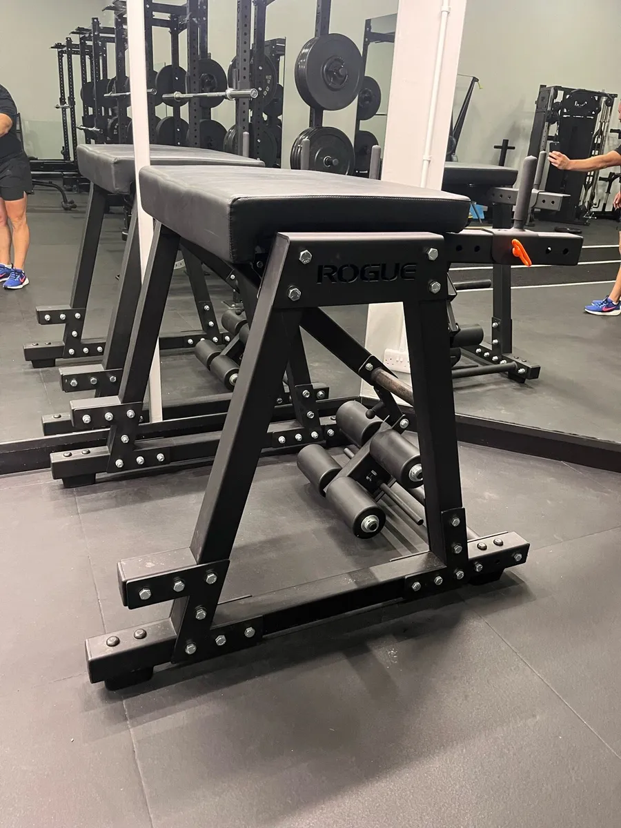 Curved Treadmill & Reverse Hyper - Image 2