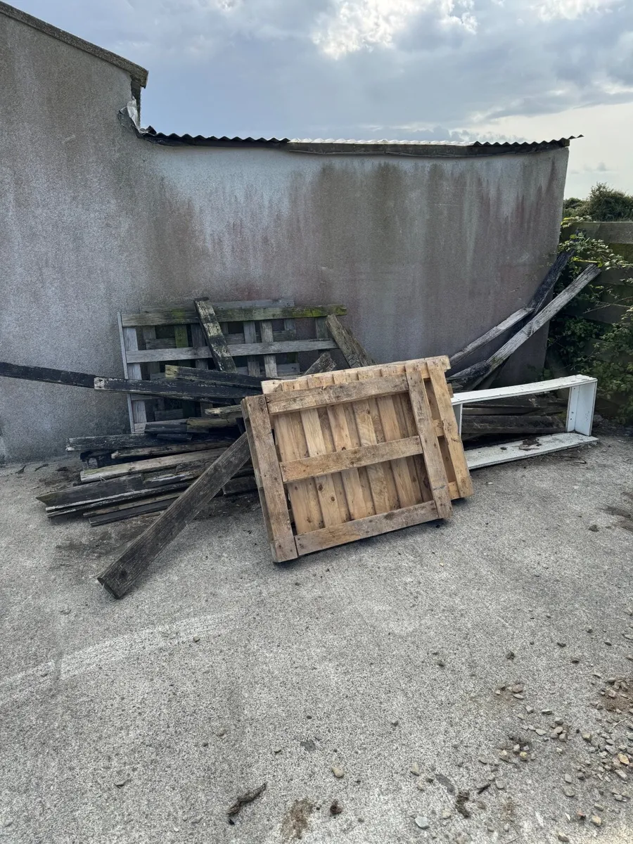 FREE - Scrap wood / Fire wood - Image 1