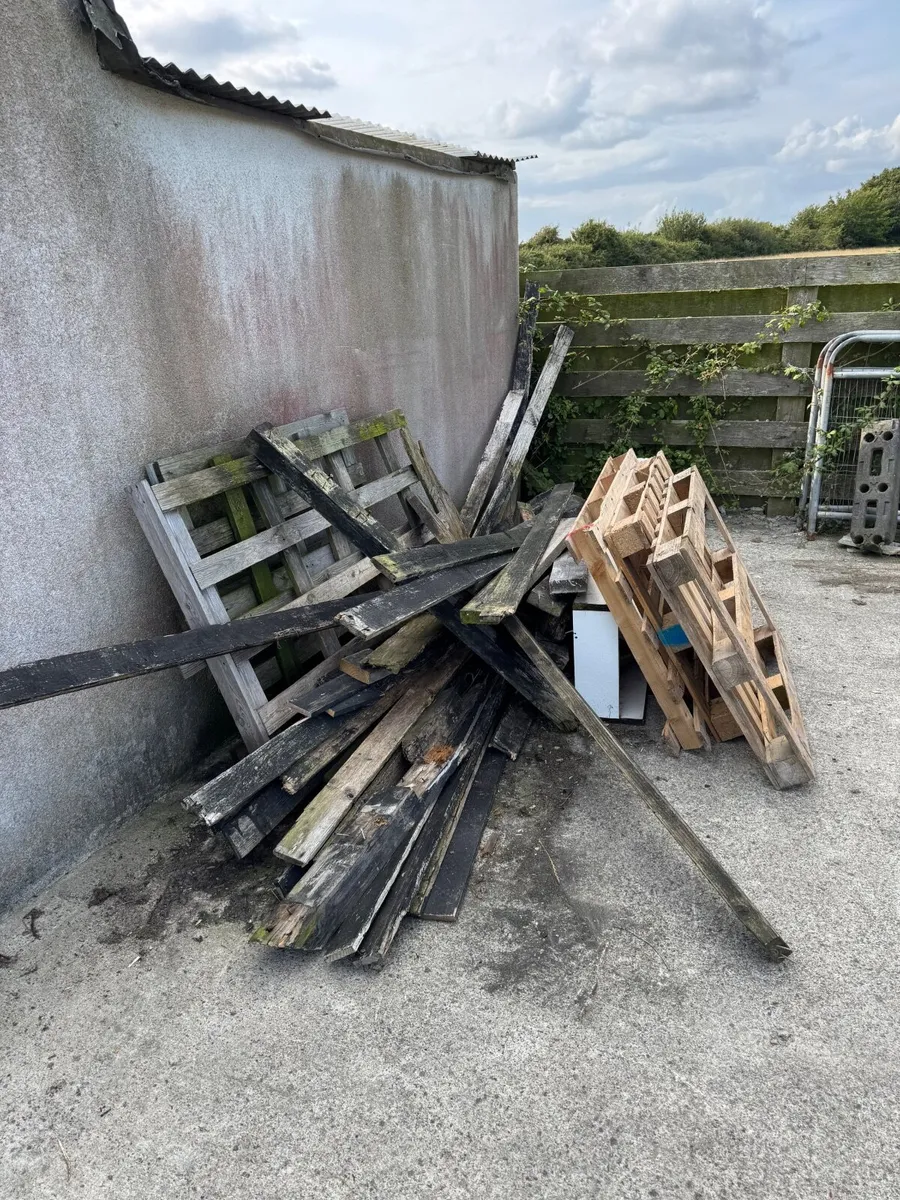 FREE - Scrap wood / Fire wood - Image 2