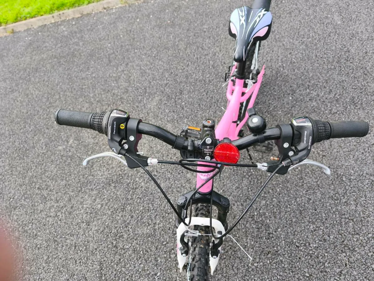 Girls Mountain Bike - Image 1