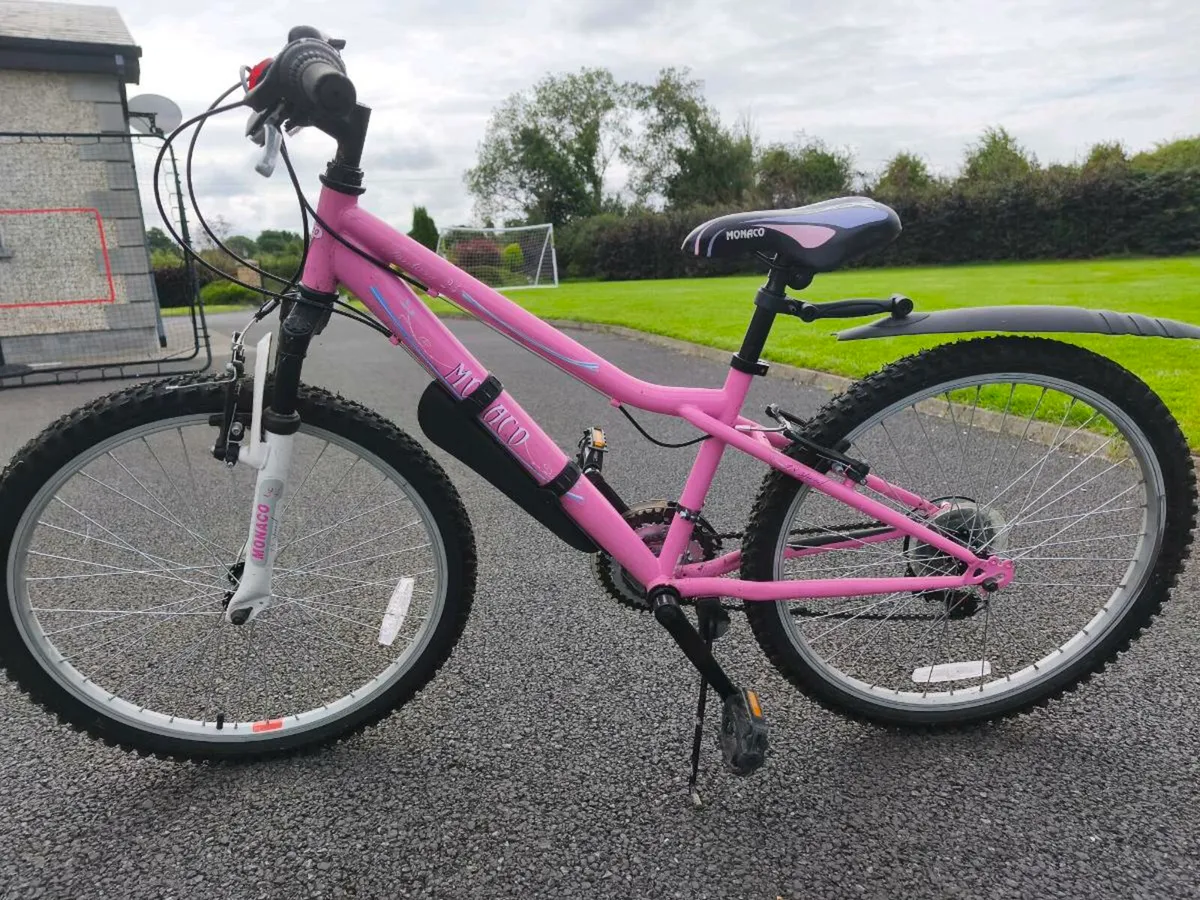 Girls Mountain Bike - Image 3