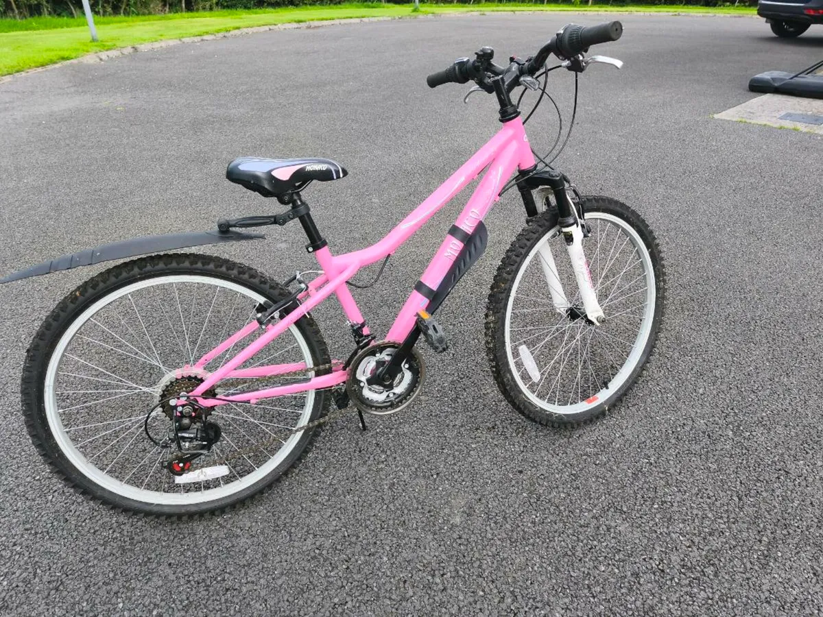 Girls Mountain Bike - Image 4
